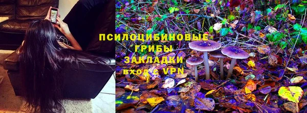 мяу мяу мука Алексин