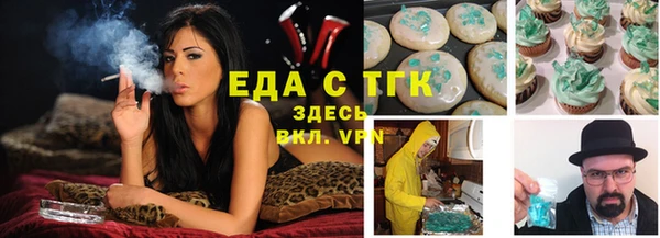 тгк Дмитриев