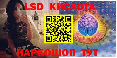 твердый Камышлов
