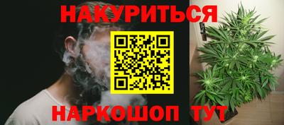 прущие грибы Кандалакша