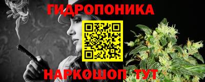 прущие грибы Кандалакша