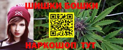 прущие грибы Кандалакша