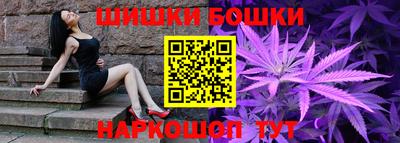 прущие грибы Кандалакша