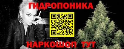 твердый Камышлов