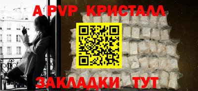 прущие грибы Кандалакша