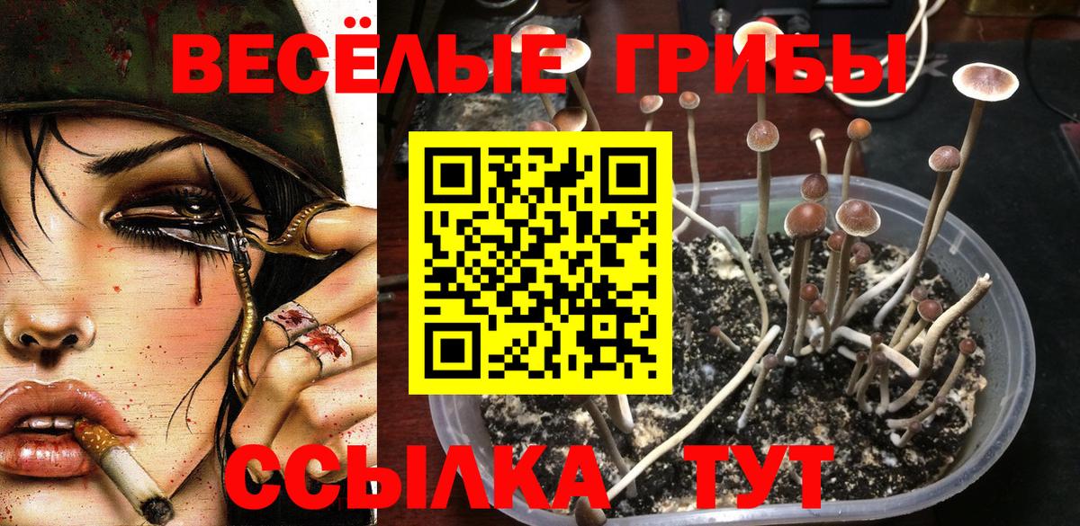 Красноперекопск  Галлюциногенные грибы Magic Shrooms  Вход с VPN 